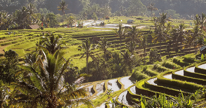 Indonesia